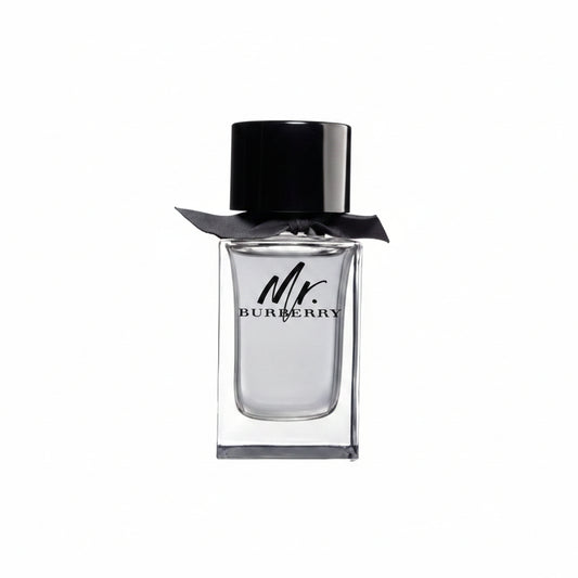 BURBERRY MR BURBERRY MEN EDT 100ML